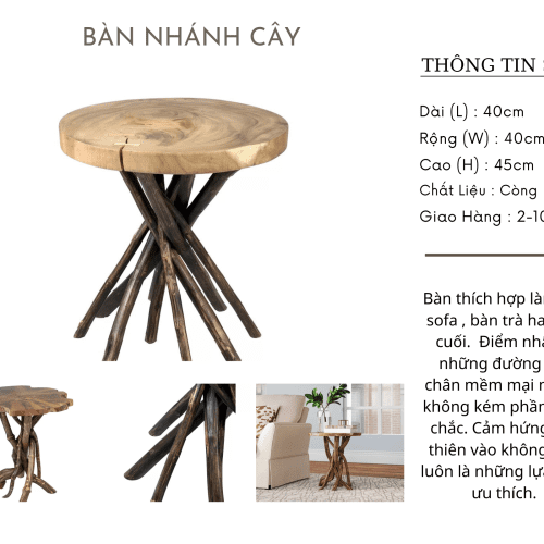Bàn Nhánh Cây – D40
