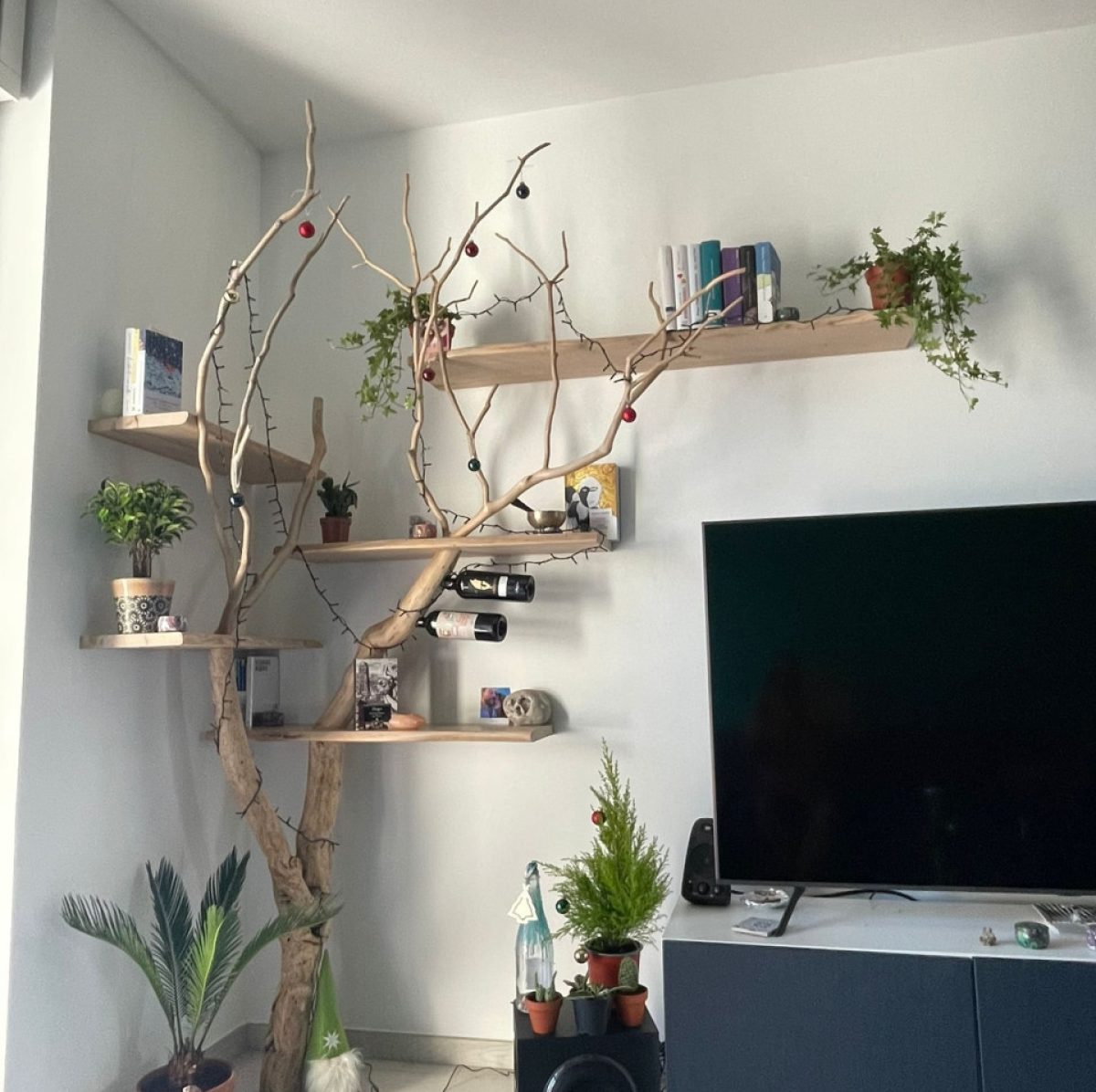 Kệ Gỗ Nhánh Cây – Sự Kết Hợp Độc Đáo Và Vẻ Đẹp Tự Nhiên